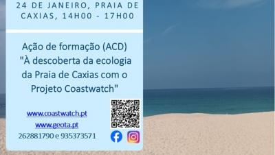 À descoberta da ecologia da Praia de Caxias com o Projeto CoastWatch