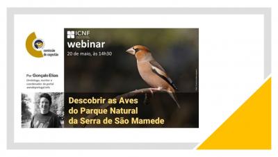 Descobrir as aves do Parque Natural da Serra de São Mamede  webinar