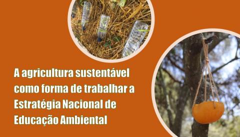 A agricultura sustentável como forma de trabalhar a Estratégia Nacional de Educação Ambiental (ENEA)