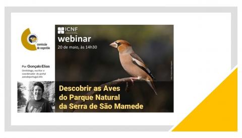 Descobrir as aves do Parque Natural da Serra de São Mamede  webinar