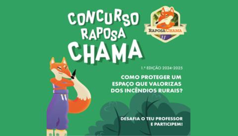 concurso raposa chama 2024