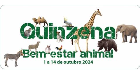 quinzenaBEA2024