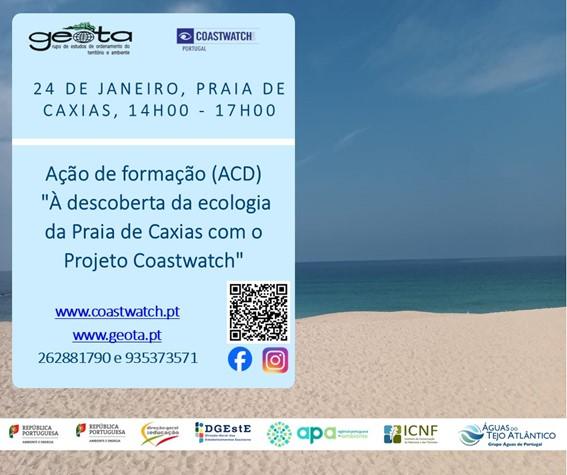 À descoberta da ecologia da Praia de Caxias com o Projeto CoastWatch