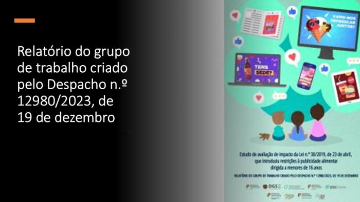 Relatório do grupo de trabalho criado pelo Despacho n.º 12980/2023, de 19 de dezembro