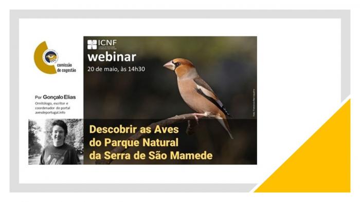 Descobrir as aves do Parque Natural da Serra de São Mamede  webinar