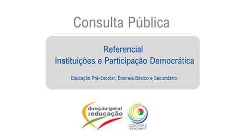 consulta publica Ref Inst Democraticas