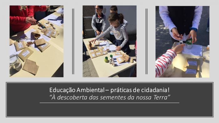 Educação Ambiental – Práticas De Cidadania! | Cidadania