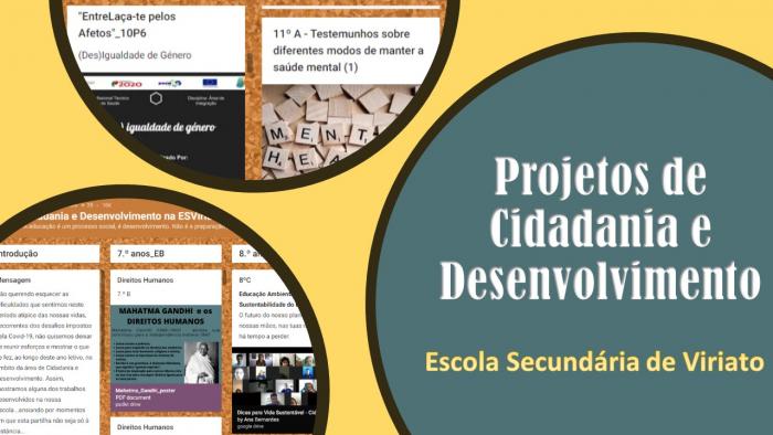 Projetos de Cidadania e Desenvolvimento na Escola Secundária de Viriato