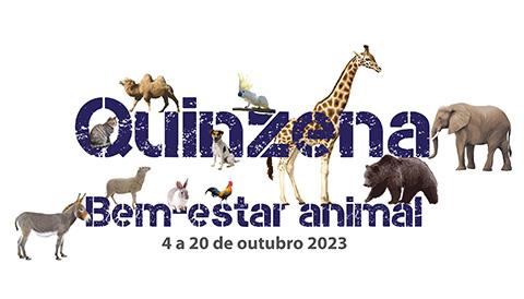 quinzena BEA 2023