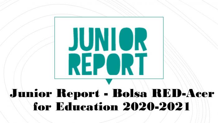Junior Report - Bolsa RED-Acer for Education 2020-2021