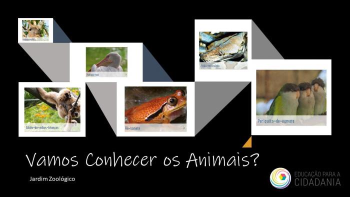 Vamos Conhecer os Animais?