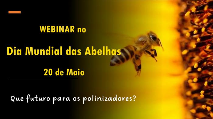 WEBINAR no  Dia Mundial das Abelhas 20 de Maio Que futuro para os polinizadores?