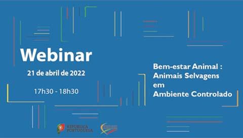 webinar BEAabril2022